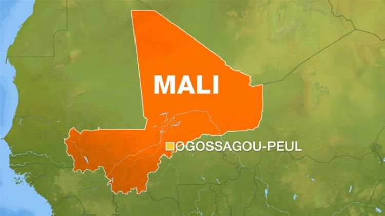 马里中部一村庄遭袭击 110人死亡