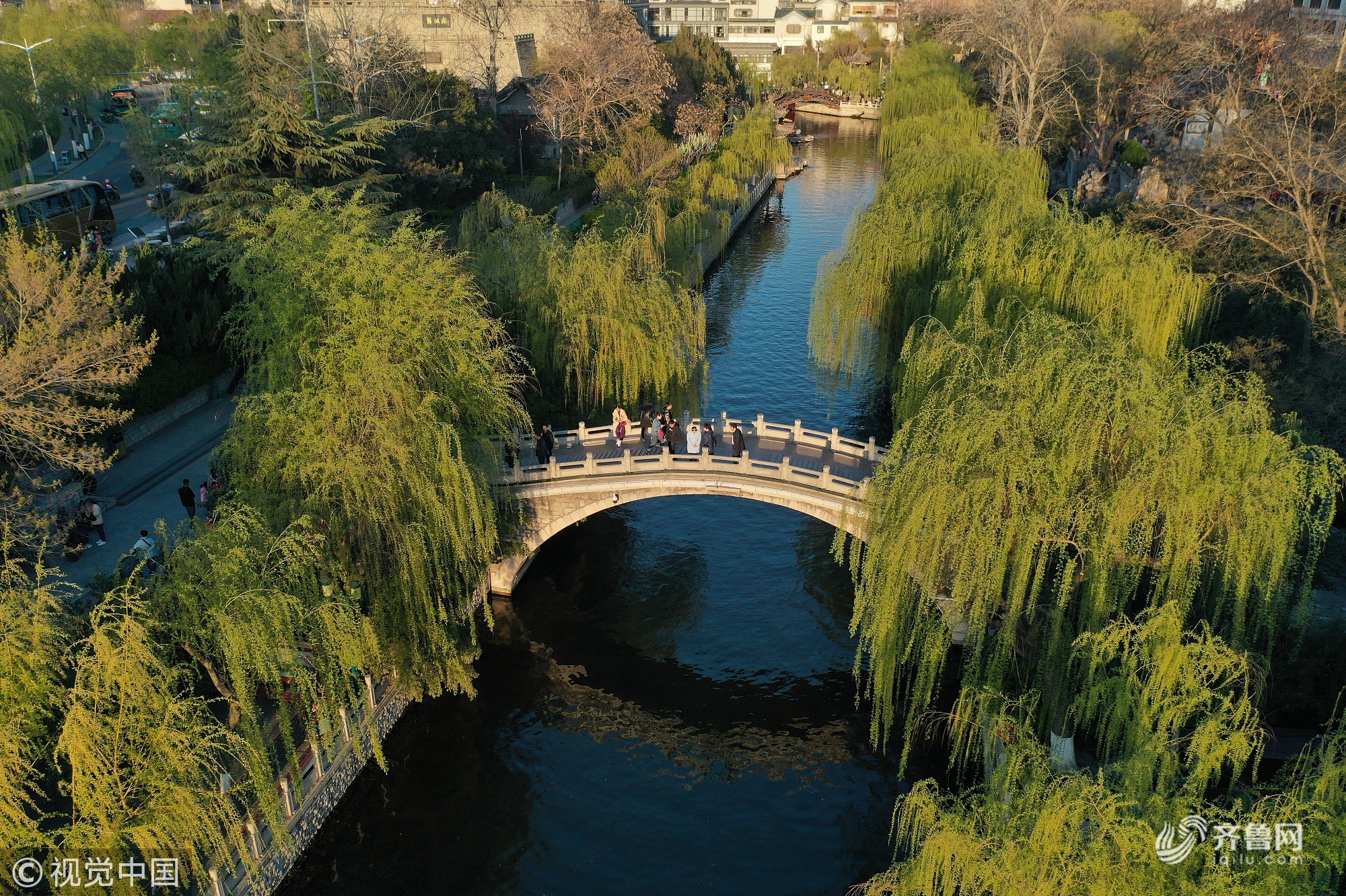 绿柳依依 济南护城河风景如画