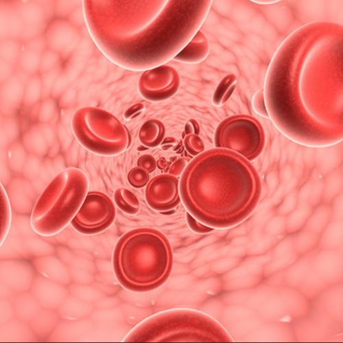 两市民同捐造血干细胞 淄博市捐献者已达56例