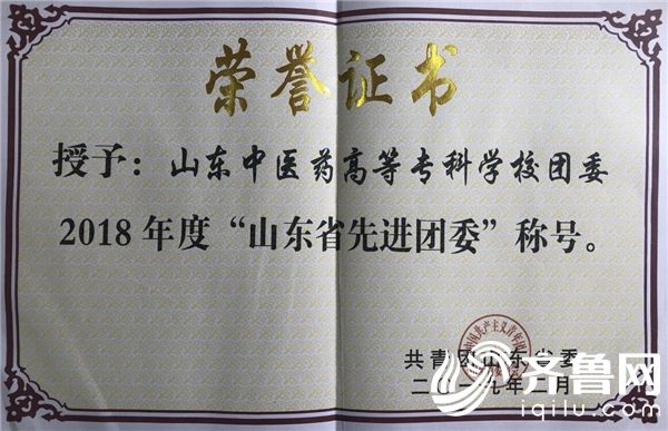 中医药高专团委荣获2018年度“山东省先进团委”荣誉称号