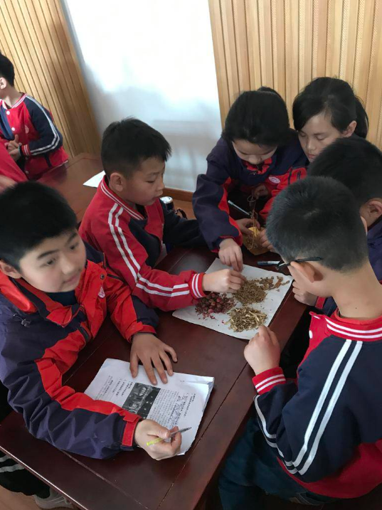 聊城市东方阿胶双语开展东阿小学传统文化主题音乐培国小学图片