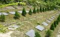 淄博近90%村居实现公益性公墓安葬或节地生态安葬