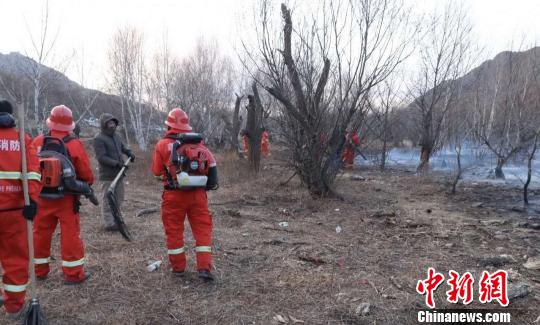 内蒙古一男子违规驾车进林区引发山火被刑拘