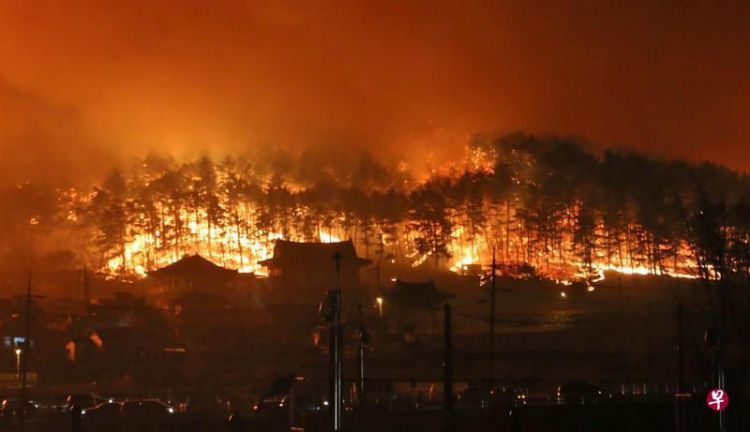 韩政府宣布该国山火为国家灾难 确认至少1死11伤