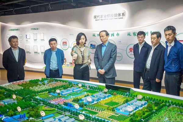 德州市夏津县gdp_山东省的2019年前三季度GDP来看,德州在省内排名如何(3)