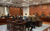 淄博首例刑事附带民事公益诉讼案件发布 4人非法猎杀野生鸟类168只
