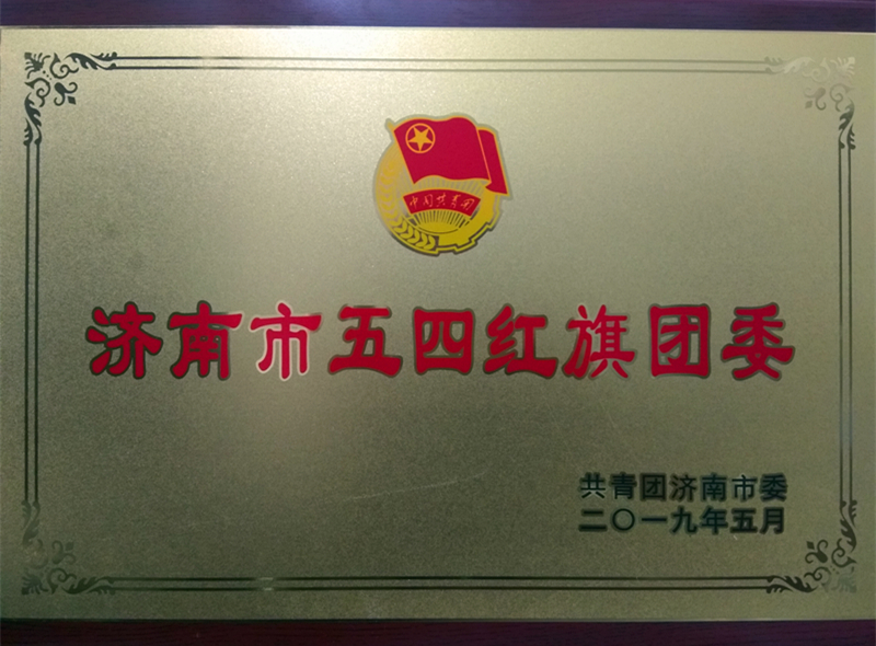 济南市第二人民医院团委被授予2018年度济南市五四红旗团委荣誉称号_副本