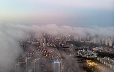 山东青岛现平流雾奇观 云海笼罩远处群山