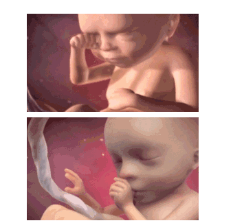 1560300738858.png