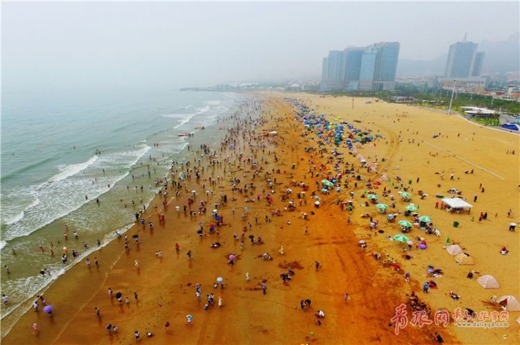 走,洗海澡喽!快来青岛海水浴场"下饺子"