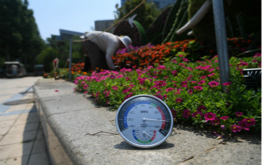 济南面临气温“烤验”：持续飙升局部地区达39℃