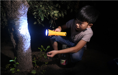 济南“金蝉村”