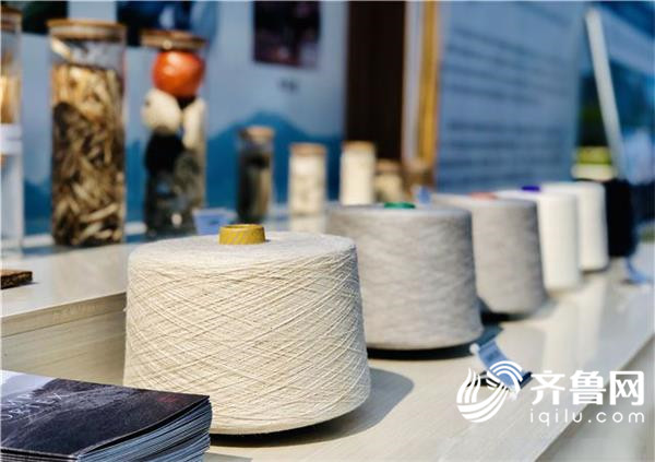 汉泰麻纺织产业园项目_副本1 汉泰麻纺织产业园项目 聚焦产业提升