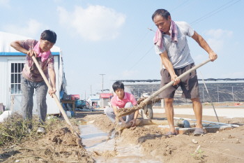 高青县12个“田间学校”在地头“开课”现场指导群众恢复灾后生产