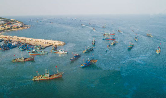 今起烟台437艘定置网渔船已经解禁 可出海捕捞