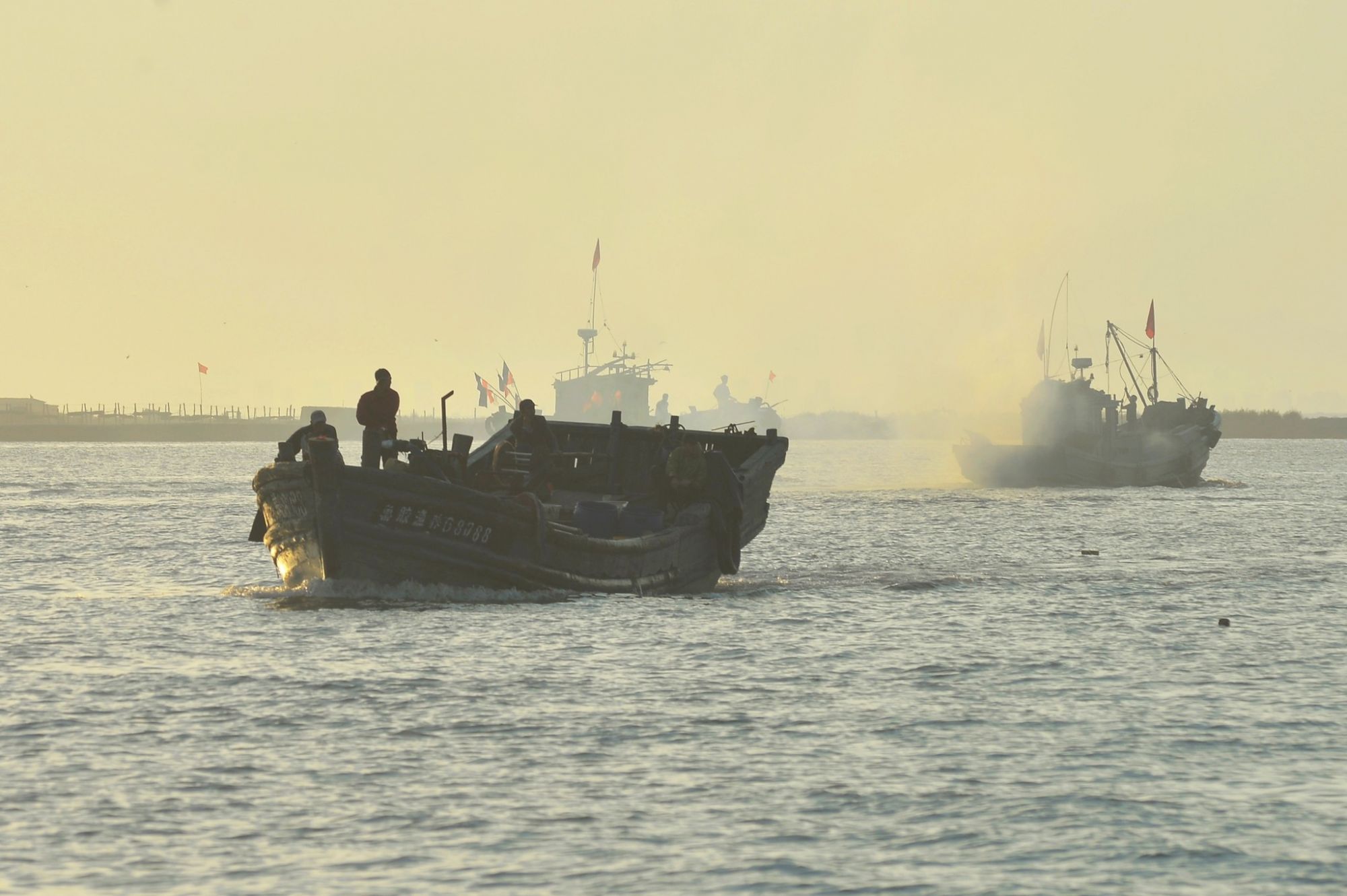 胶州营海gdp_胶州少海湿地公园