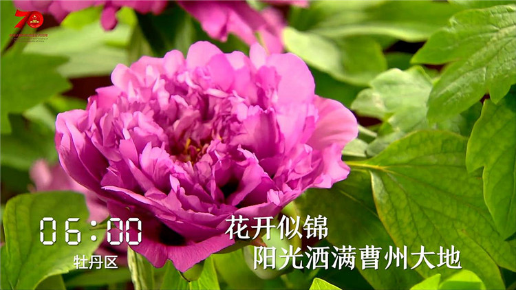 菏泽1.jpg