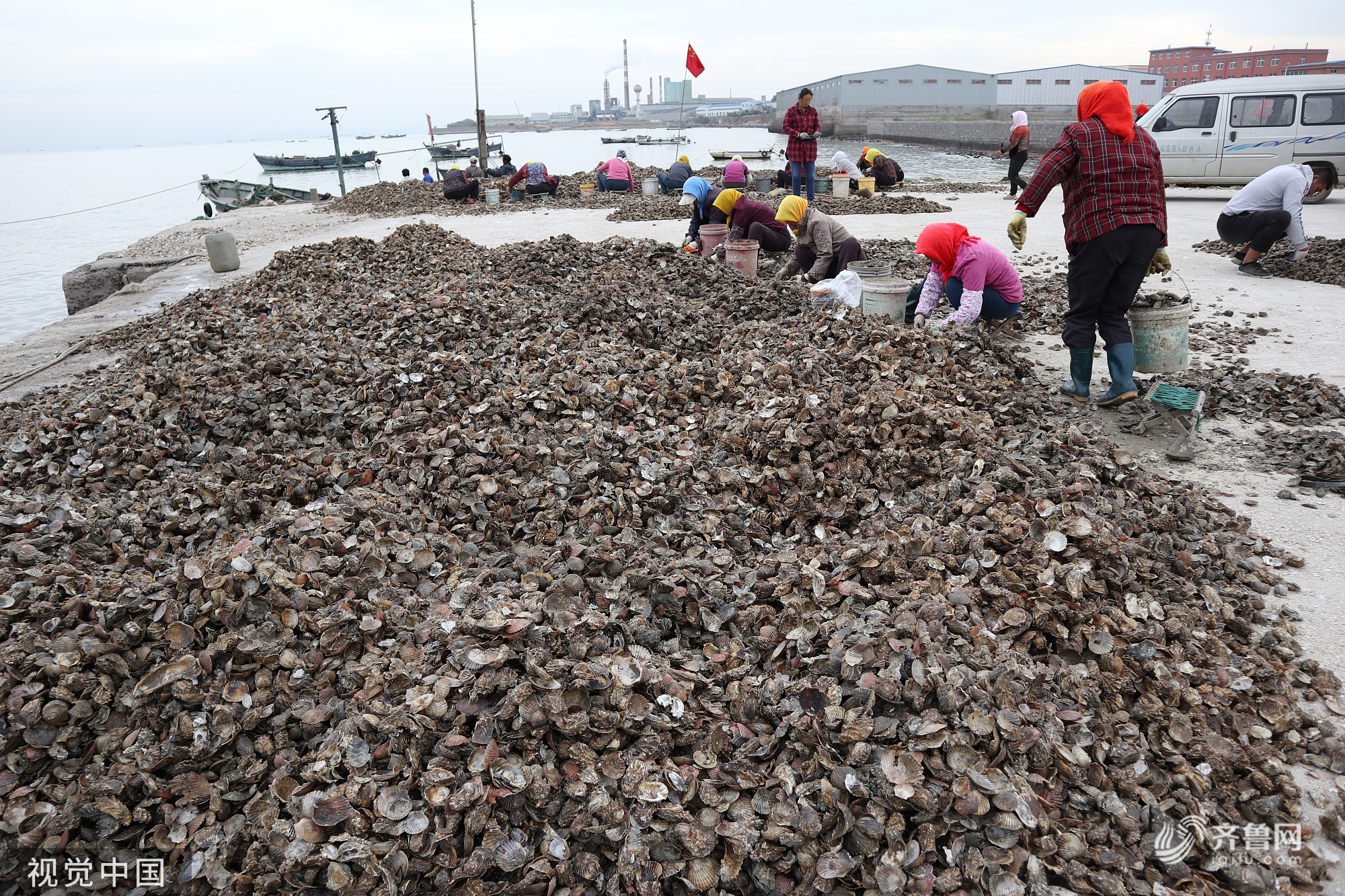 青岛：国庆长假 胶州湾渔民抓紧时机分拣海蛎子苗