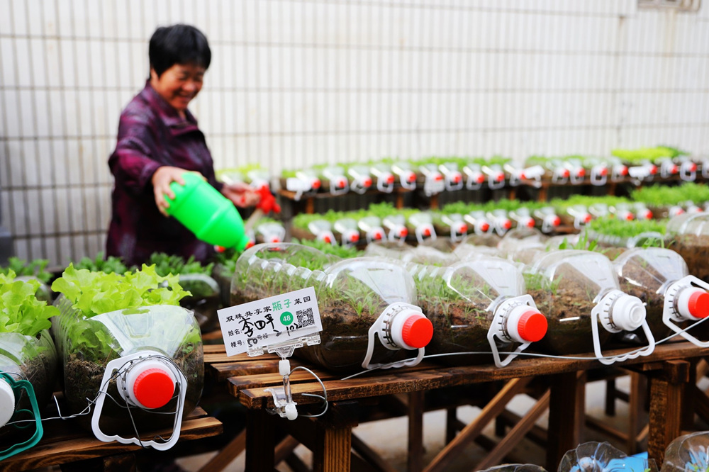 山东青岛开创垃圾分类社区田园 变废为宝建立“瓶子菜园”