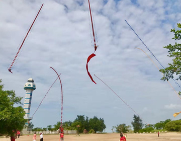 七条百米长潍坊龙头风筝飞舞于中国大陆南极村