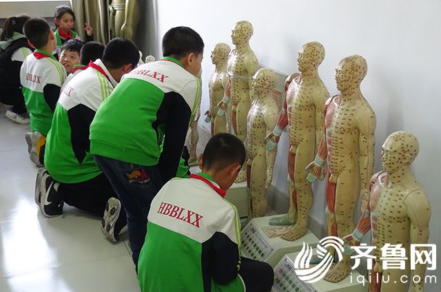 11月5日，在山东省科普教育基地，小学生参观中医针灸模型。