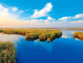 高青天鹅湖国际慢城  打造黄河流域高质量发展样板