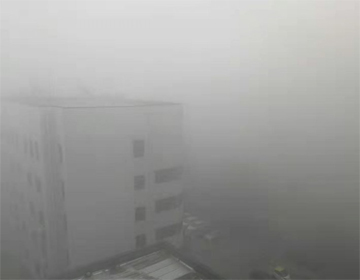 海丽气象吧｜潍坊迎来大雾天气 部分地区能见度小于50米