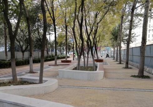 上新了！临沂市又有3处口袋公园建成开放