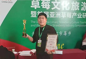 枣庄一草莓种植户获得“中国草莓界金奖”