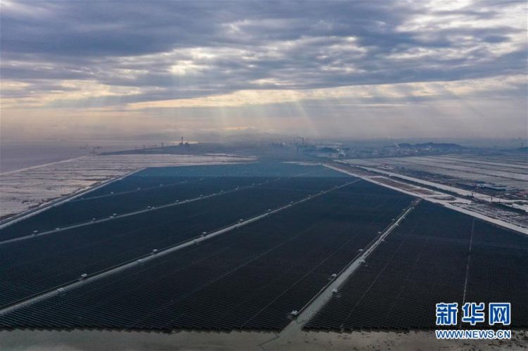 （经济）（1）浙江省内最大规模海涂光伏发电项目正式投运