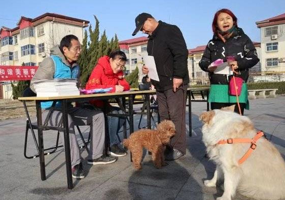 河口区志愿者协会开展文明养犬宣传活动