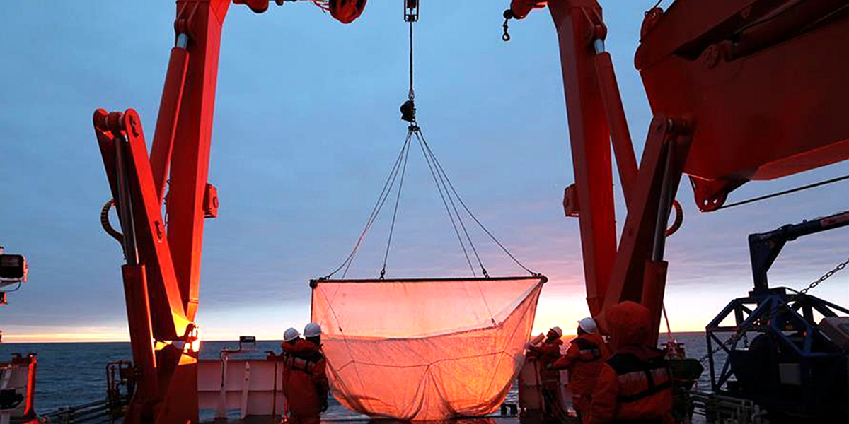 中国南极考察队完成宇航员海磷虾调查
