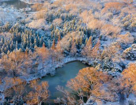 初雪后的泉城公园美景如画