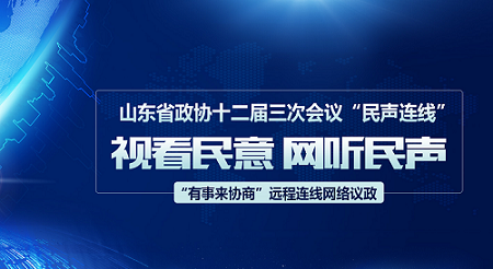 山东省政协十二届三次会议远程连线网络议政活动