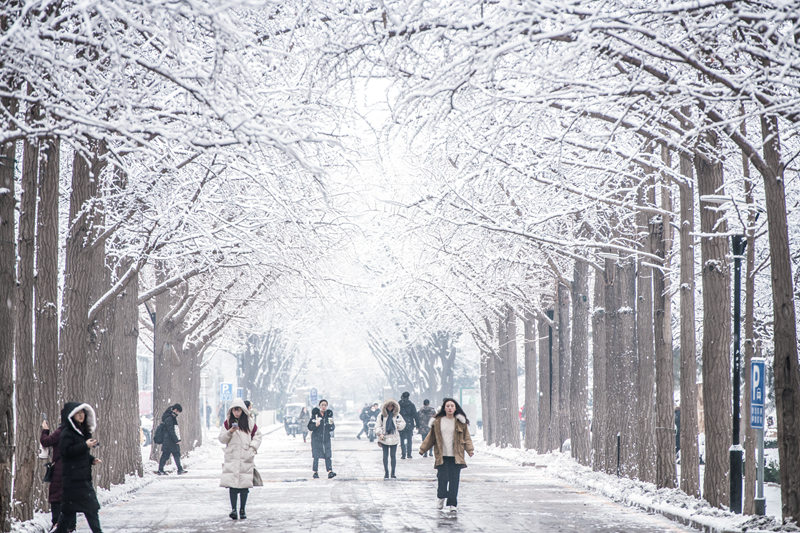 大学校园遇上雪 哪抹景色最让你心动？