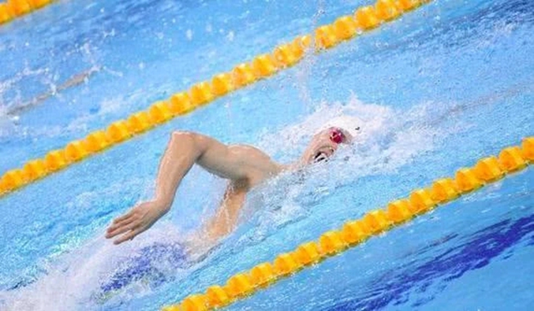 国际泳联冠军游泳系列赛，孙杨勇夺400米自由泳冠军