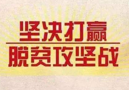 线上“不掉队“学习“不落后“ 利津县教育扶贫让网上课堂一人不少
