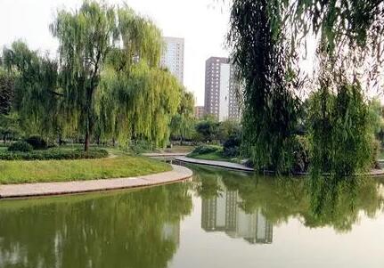利用5个月时间提升景观工程 淄博市植物园、莲池公园4月23日起改造
