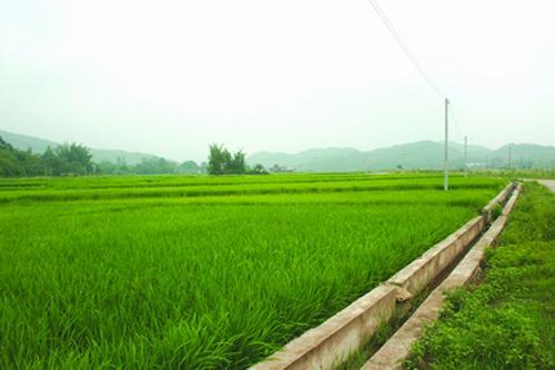 桓台推进1.2万亩高标准农田建设