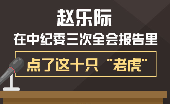 圖解：趙樂際在中紀委三次全會報告里點了這十只