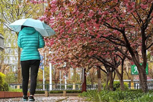 降雨带来“倒春寒”淄博平均降水18.2毫米最大点30毫米