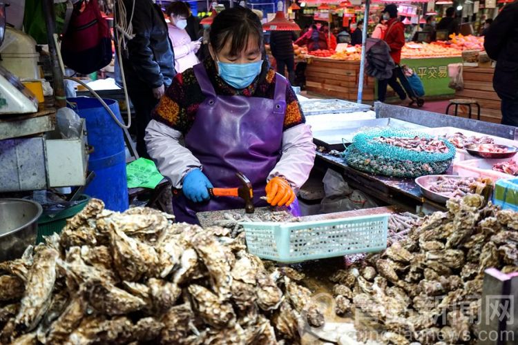 【海鲜】琳琅满目应有尽有 买海鲜团岛市场是好去处