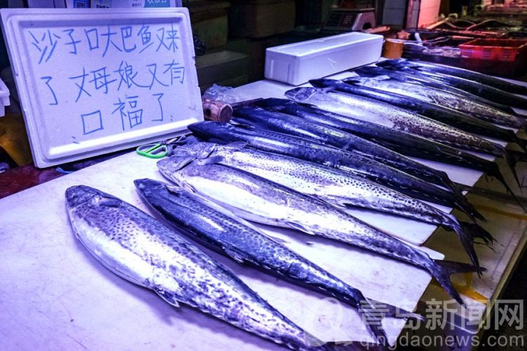 【海鲜】琳琅满目应有尽有 买海鲜团岛市场是好去处