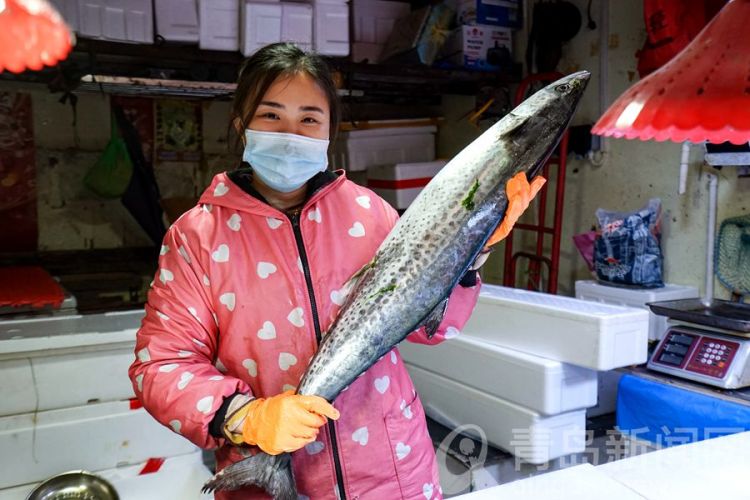 【海鲜】琳琅满目应有尽有 买海鲜团岛市场是好去处