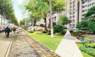 淄博主城区启动公园城市“提质增容”工程
