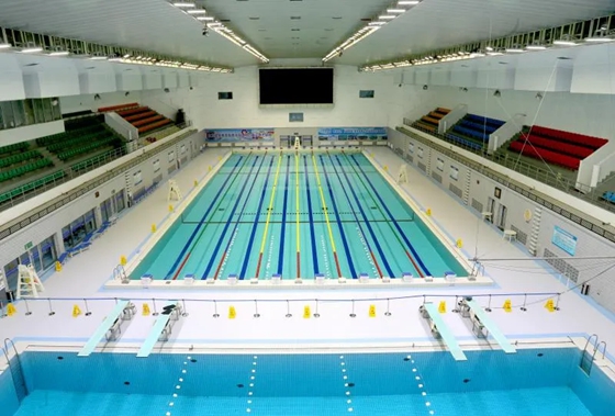 山东省体育中心游泳馆发布最新公告