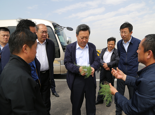 赵志远调研黄河三角洲生态保护重点项目建设