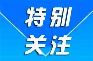 【平凡视角】北宋镇五庄村:南瓜园里巧念“节约经”