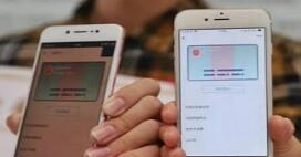 “无证”初体验服务再升级“电子身份证”在淄川政务服务窗口正式应用