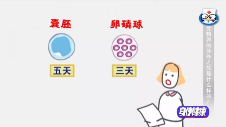 世界上第一个供卵做试管供卵生子和美国第一个供卵做试管代生价格在芝加哥相遇